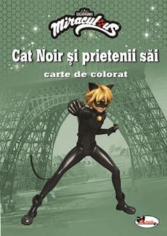 Cat noir si prietenii sai