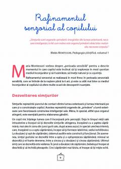 Explorez culorile cu Montessori