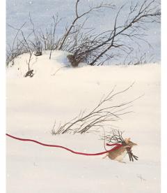 Cum a invatat Soricila valoarea prieteniei