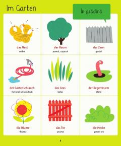 Dictionar ilustrat german-roman. Hallo Deutsch!