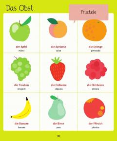 Dictionar ilustrat german-roman. Hallo Deutsch!