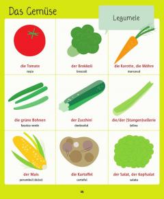 Dictionar ilustrat german-roman. Hallo Deutsch!