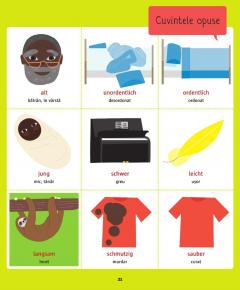 Dictionar ilustrat german-roman. Hallo Deutsch!