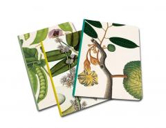 Set 3 Carnete A5 - Remarkable Plants