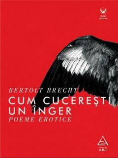 Cum cuceresti un inger