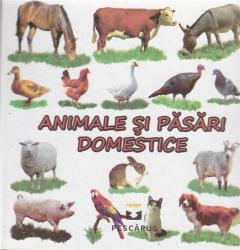 Animale Si Pasari Domestice