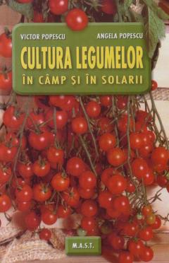 Cultura legumelor in camp si solarii