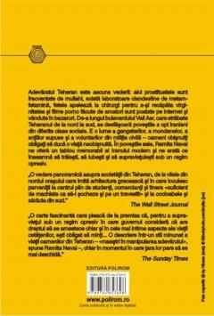 Orasul minciunilor. Dragoste, sex si moarte la Teheran