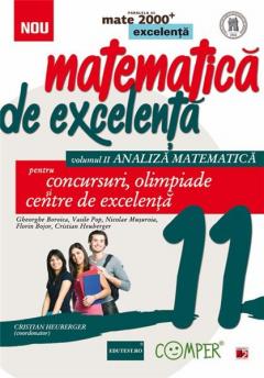 Matematica de excelenta - Vol. 2 Analiza Matematica - Cls. a XI-a