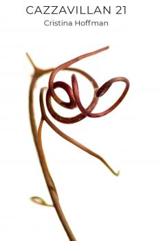 Cazzavillan 21